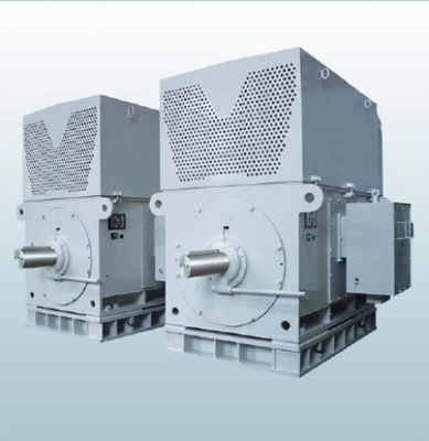 AC低電圧のリスおりの誘導電動機三相400v